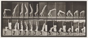 Placa 371. Acrobat, Vertical Press Up de Eadweard Muybridge
