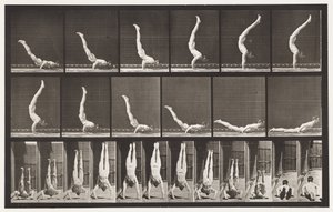 Placa 372. Acrobat, Horizontal Press Up de Eadweard Muybridge
