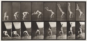 Placa 373. Acrobat, pressione para cima da cadeira de Eadweard Muybridge