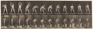 Placa 376. Ferreiro, Martelo na Bigorna, Duas Mãos, 1872-1885 de Eadweard Muybridge