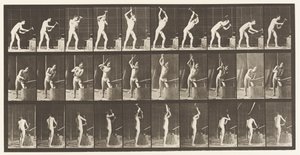 Placa 378. Ferreiro, Martelando na Bigorna, Duas Mãos de Eadweard Muybridge