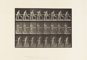 Placa 380. Carpinteiro, Serrar, 1872-1885 de Eadweard Muybridge