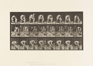 Placa 381. Pedreiro, Colocando um tijolo de Eadweard Muybridge