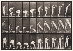 Placa 382. Levantando um Log On End, 1872-1885 de Eadweard Muybridge