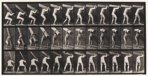 Placa 383. Levantando um ombro de tronco de Eadweard Muybridge