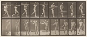 Placa 384. Levantando um ombro de tronco de Eadweard Muybridge