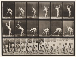 Placa 385. Fazendeiro, Usando uma Pick, 1872-1885 de Eadweard Muybridge