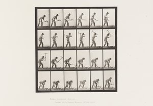 Placa 386. Mineiro usando uma picareta de Eadweard Muybridge