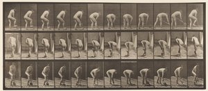Placa 388. Fazendeiro, Usando uma Pá, 1872-1885 de Eadweard Muybridge