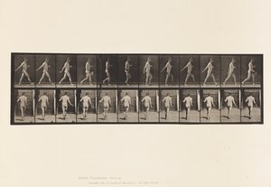 Placa 389. Agricultor, Semente de Dispersão, 1872-1885 de Eadweard Muybridge