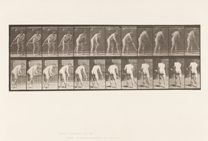 Placa 390. Fazendeiro cortando grama de Eadweard Muybridge