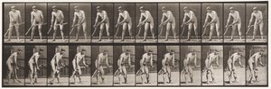 Placa 391. Fazendeiro cortando grama de Eadweard Muybridge