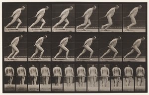 Ilustração 392. Arrastando um Rolo de Jardim, 1872-1885 de Eadweard Muybridge