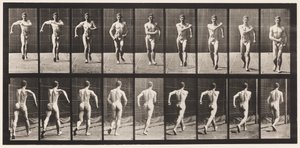 Prato 3. Andar a pé de Eadweard Muybridge