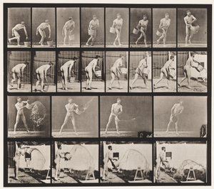 Placa 400. Esvaziando balde de água, 1872-1885 de Eadweard Muybridge