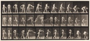 Placa 402. Esvaziamento da bacia de água de Eadweard Muybridge