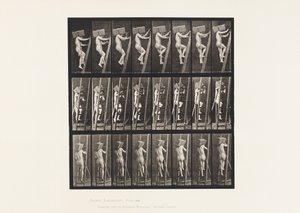 Placa 405. Carregando a mão de tijolos até uma escada, 1872-1885 de Eadweard Muybridge
