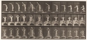 Placa 409. Bacia de despejo de água sobre a cabeça de Eadweard Muybridge