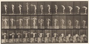 Placa 414. Limpando o Corpo com Toalha de Eadweard Muybridge