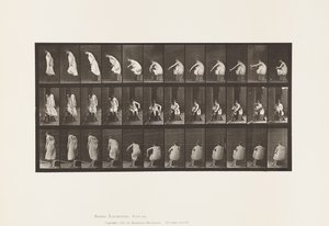Placa 423. Banheiro; Colocando Botas e Subindo da Cadeira de Eadweard Muybridge