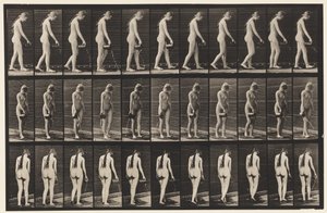 Prancha 42. Caminhando, derramando água do jarro de Eadweard Muybridge