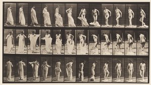 Placa 431. WC; Roupas para tirar de Eadweard Muybridge