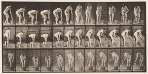 Prancha 433. Torcendo Roupas de Eadweard Muybridge