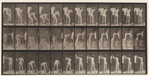 Placa 434. Pendurando Roupas na Linha, 1872-1885 de Eadweard Muybridge