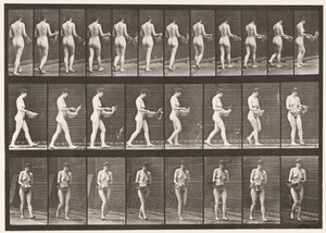 Placa 43. Caminhando, borrifando água da bacia, dando meia-volta de Eadweard Muybridge