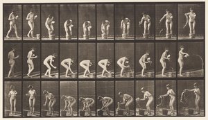 Placa 440. Inclinando-se e enxaguando o copo de Eadweard Muybridge