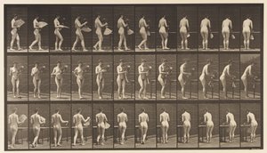 Placa 441. Carregar o vaso e colocá-lo na mesa, 1872-1885 de Eadweard Muybridge