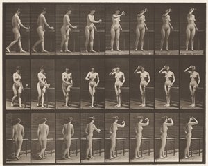Prato 443. Beber de um cálice em pé de Eadweard Muybridge