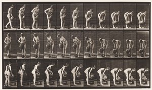 Placa 446. Preenchendo Jarro no Chão do Jarro de Água de Eadweard Muybridge