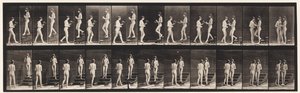 Placa 448. Dois modelos de Eadweard Muybridge