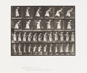 Placa 456. Raking Hay, 1885 de Eadweard Muybridge