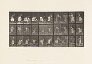 Prato 458. Levantamento de Feno, Virar, Atirar ao chão. de Eadweard Muybridge