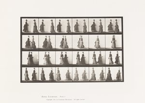 Prato 45. Reunião de Dois Modelos a Caminhar, e Viragem Parcial de Eadweard Muybridge