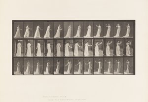 Placa 462. Despejando a Libação no Chão, Bebendo do Cálice, 1885 de Eadweard Muybridge