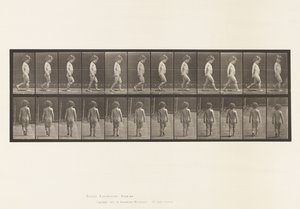 Placa 467.Criança, Andando, 1885 de Eadweard Muybridge
