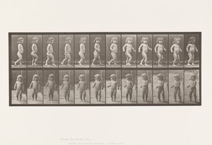 Prato 468. Criança, Caminhando de Eadweard Muybridge