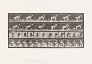 Placa 471. Criança, Rastejando de Mãos e Joelhos, 1885 de Eadweard Muybridge