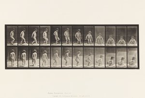 Placa 476.Child, Sentado no chão de Eadweard Muybridge