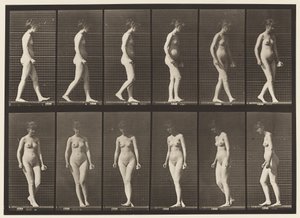 Placa 47. Caminhando e dando meia-volta de Eadweard Muybridge