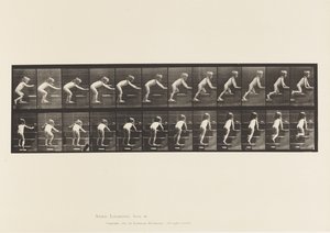 Placa 480. Criança, andando e rastejando lá em cima de Eadweard Muybridge