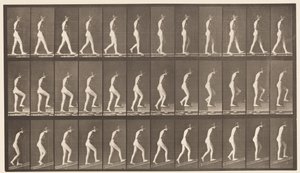 Placa 482. A, Andando; B, escadas ascendentes; C, Ascending Incline, 1872-1885 de Eadweard Muybridge