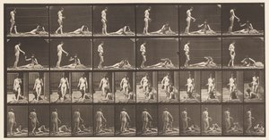 Placa 485. Dois Modelos; A, 10 em pé e encher um cálice ;, 1872-1885 de Eadweard Muybridge