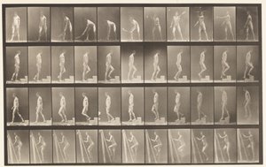 Placa 486. A, Lawn Tennis; B, Ascending a Step ;, 1872-1885 de Eadweard Muybridge