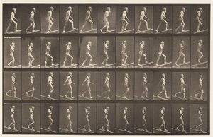 Placa 489. A, Inclinação Ascendente; 1872-1885 de Eadweard Muybridge