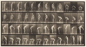 Placa 490. A, Sentado; B, sentado; C, aspersão de água de Eadweard Muybridge