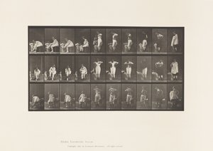 Placa 494. Fases Diversas da Casa de Banho de Eadweard Muybridge